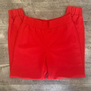 Alice + Olivia Jogger Pant in S